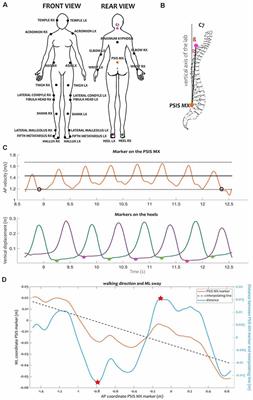 A Fully-Immersive Virtual Reality Setup to Study Gait Modulation